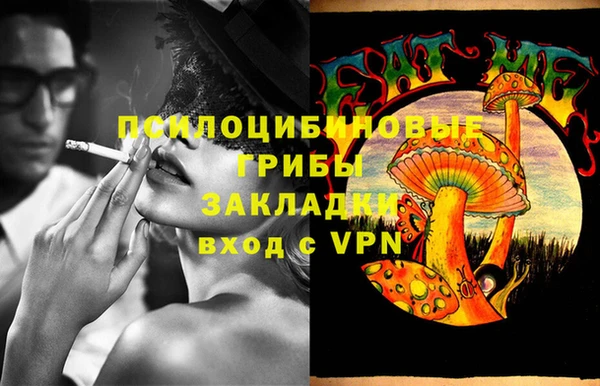 Альфа ПВП Баксан