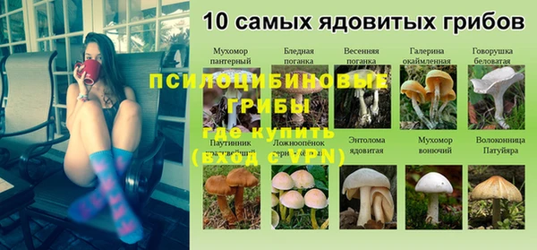 крисы Балахна