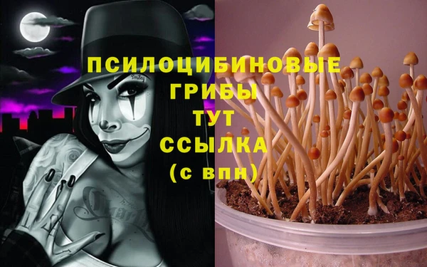 Альфа ПВП Баксан
