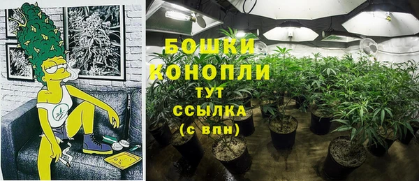 PSILOCYBIN Балабаново